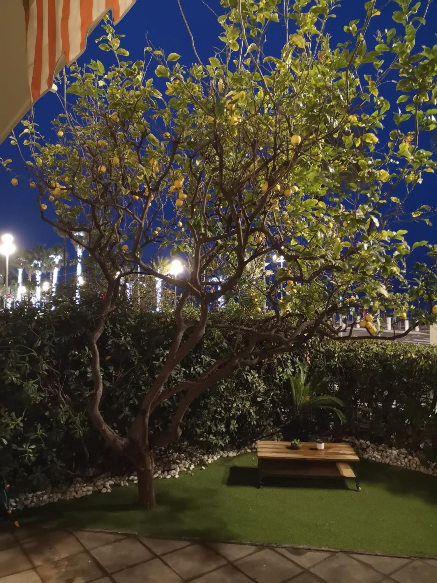 Apartamento Garden Atlantide Promenade Niza Exterior foto